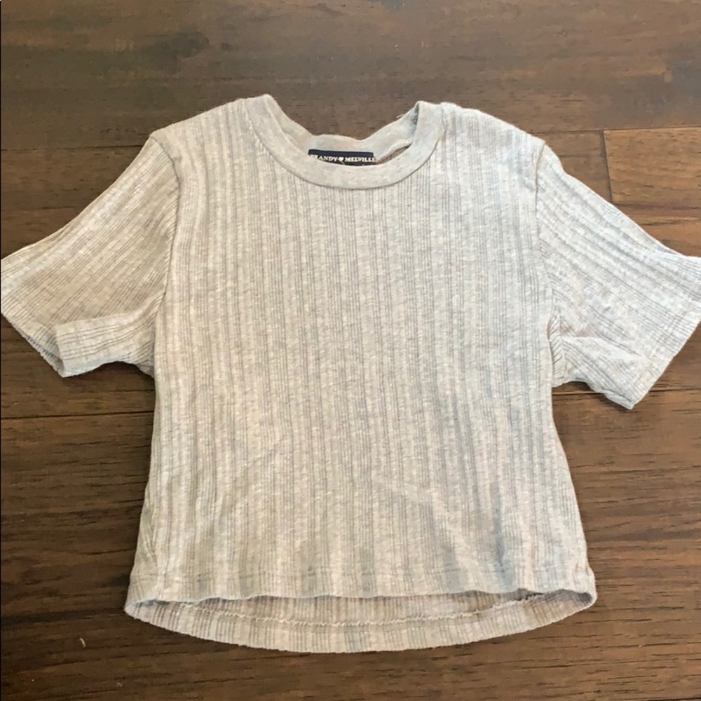 Brandy Melville Light Grey short sleeve crop top